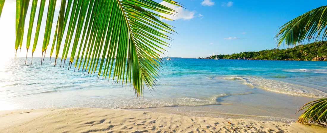 Mahé, Praslin et La Digue en guesthouses - 11 jours