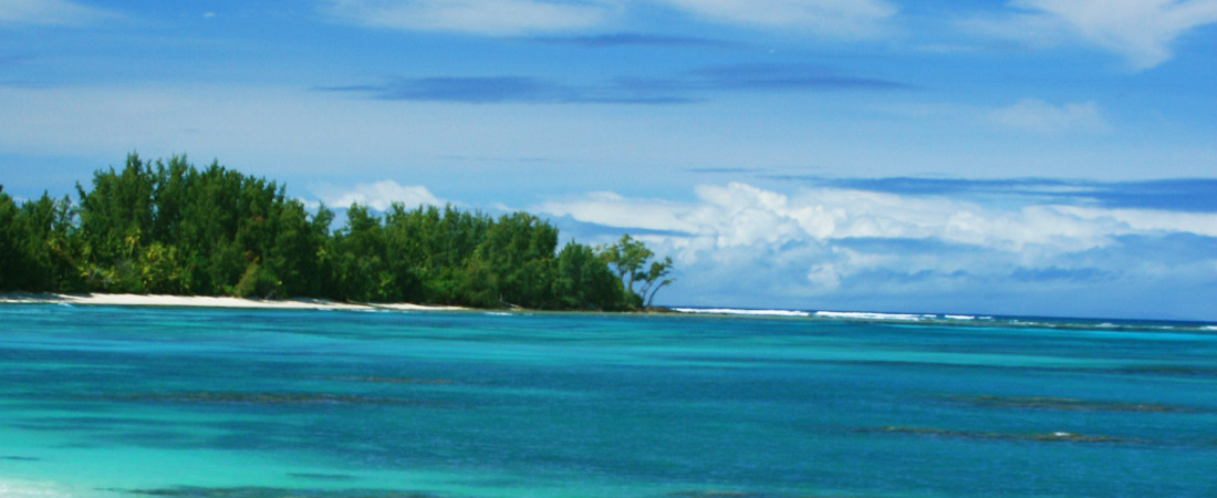 Ile de Denis Island, 8 jours