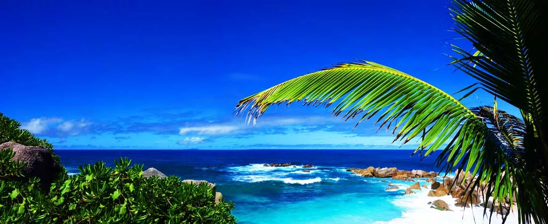 Combiné Dubaï, Praslin et Mahé - 11 jours