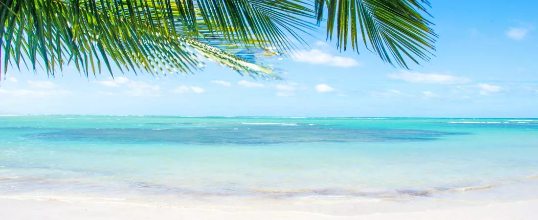 Ile de Cerf Island, 8 jours